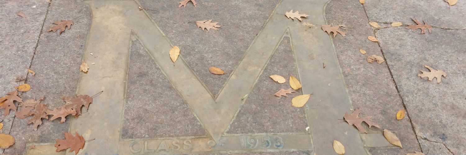 merpa1680's profile banner image