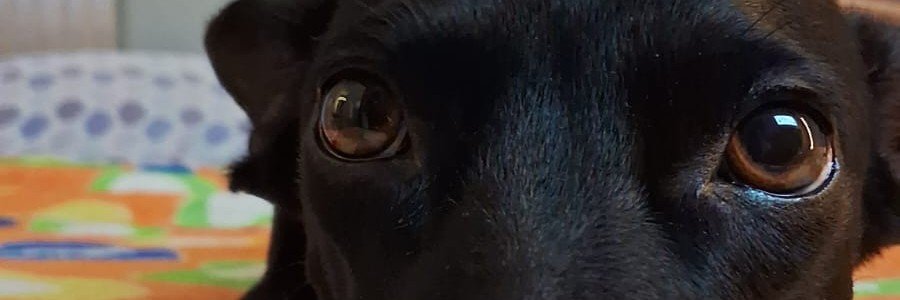 mrtadriano's profile banner image