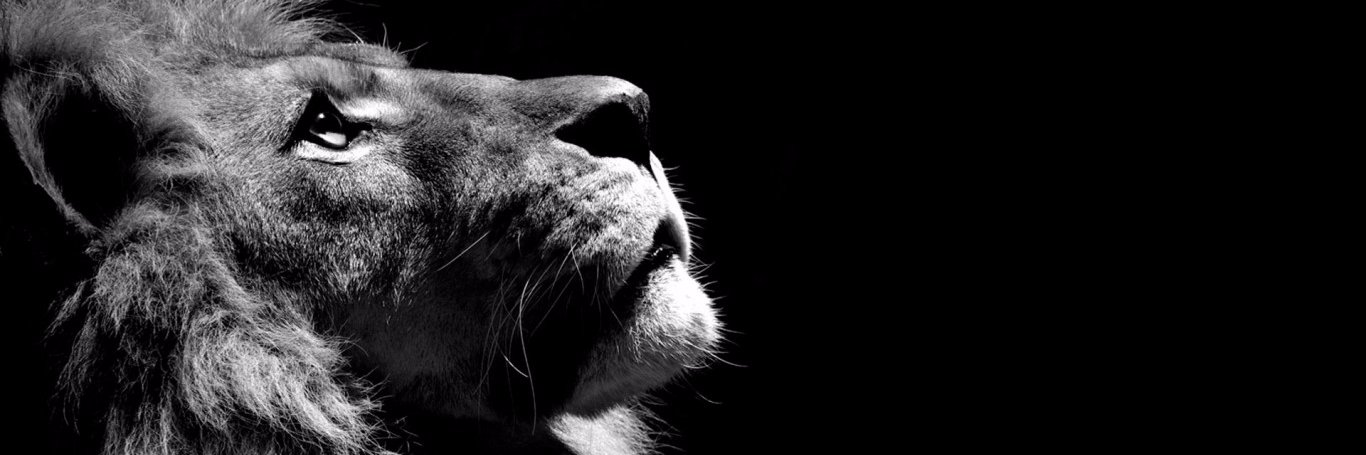KyleWJackson88's profile banner image