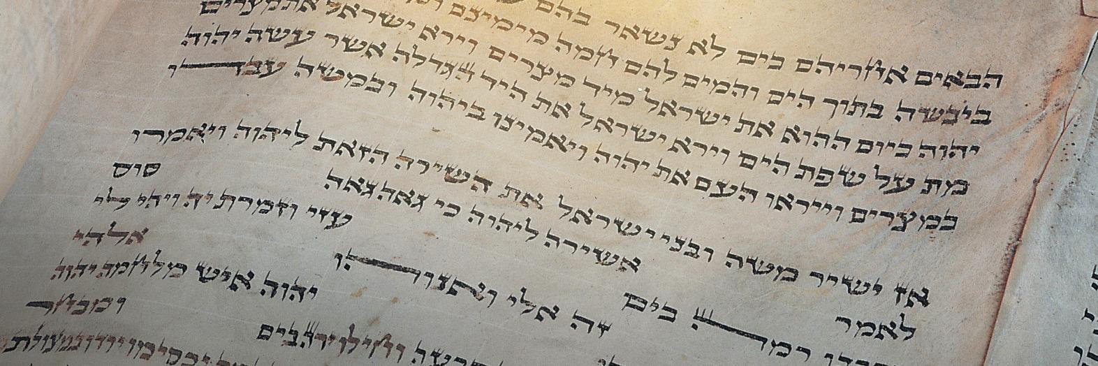 LightForIsrael's profile banner image