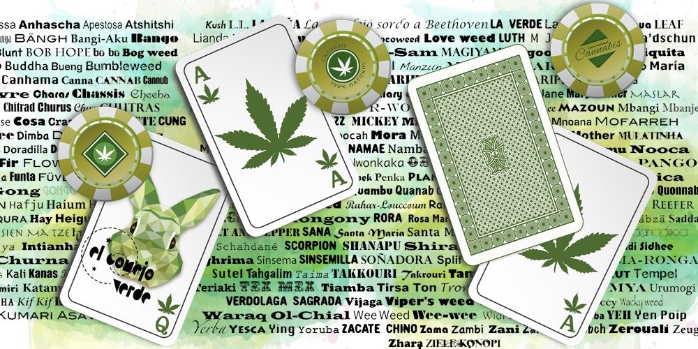 elConejoVerde2's profile banner image
