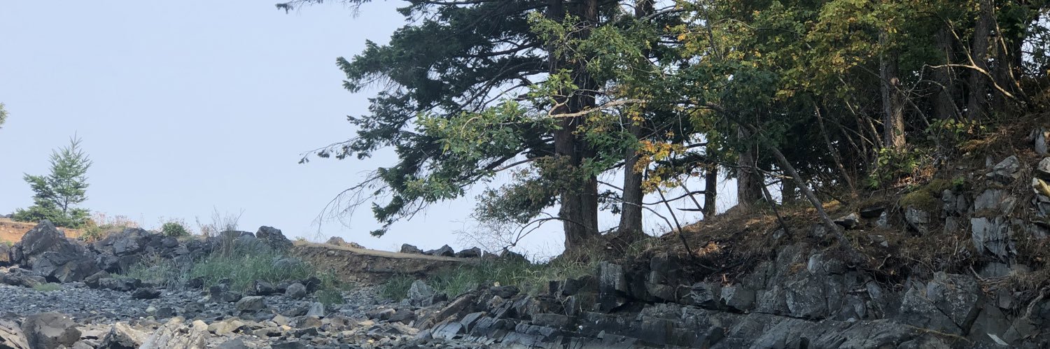 gracklee's profile banner image