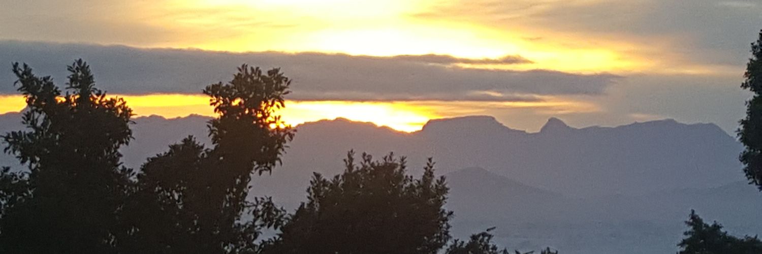 weetmosals's profile banner image
