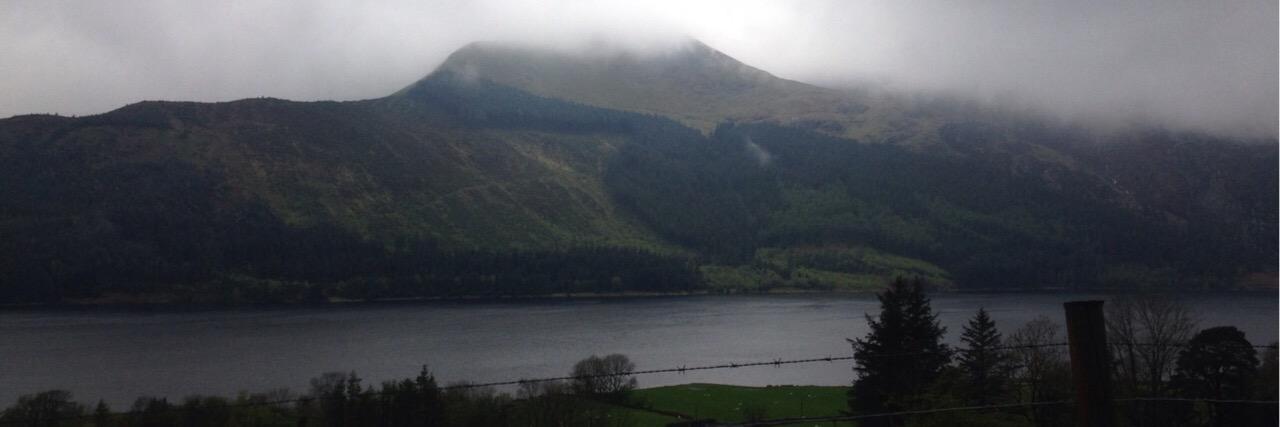 Michelle delstanche banner