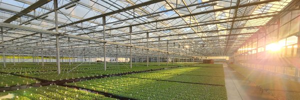 BobsMarket Profile Banner