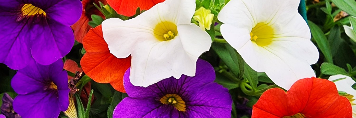 BobsMarket's profile banner image