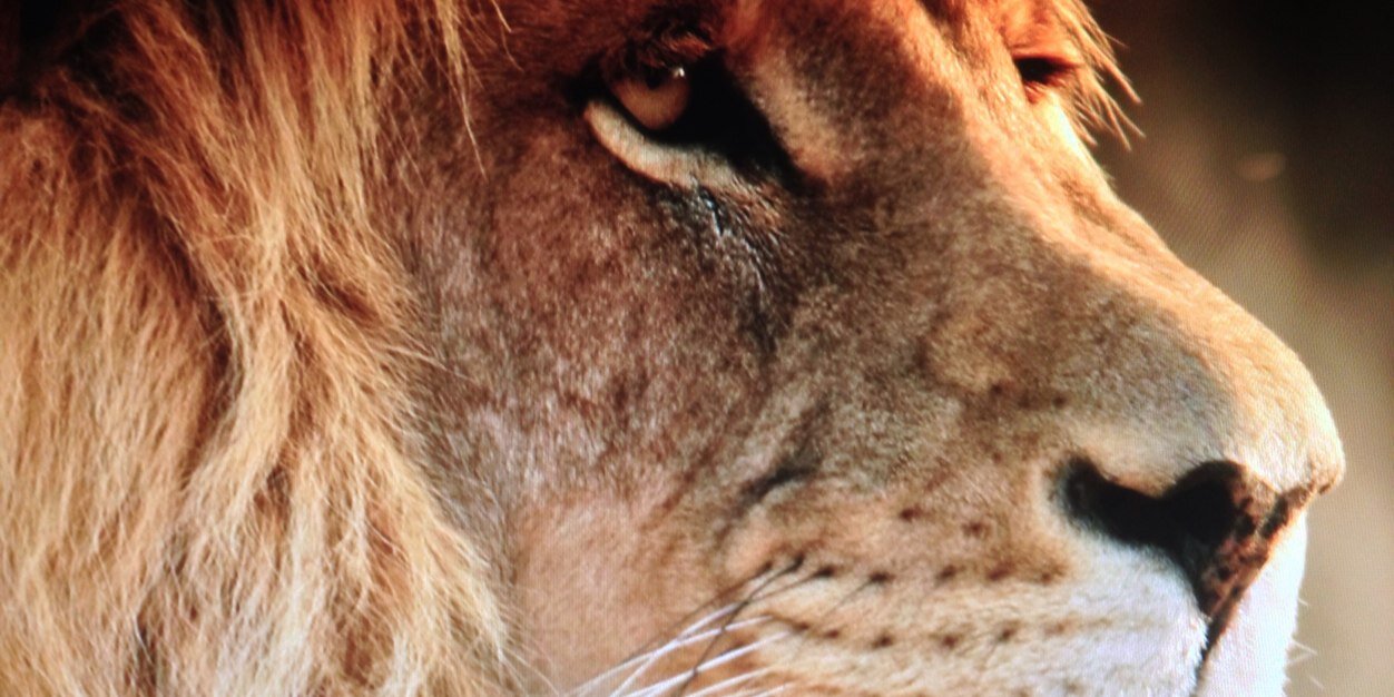 RobertoVerdoy's profile banner image