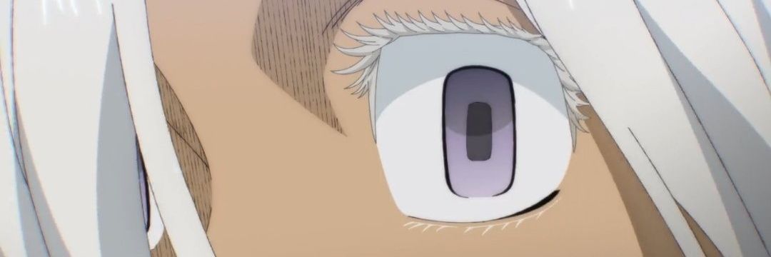 assysfw's profile banner image