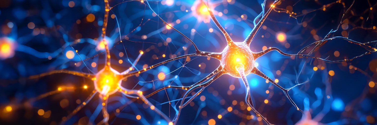 neuralvis's profile banner image
