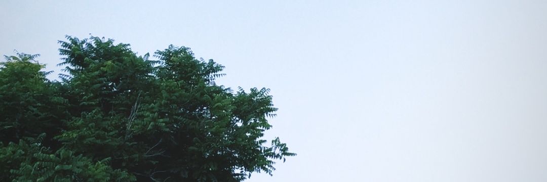 TonyFGC_'s profile banner image