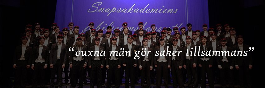 Snapsakademien's profile banner image