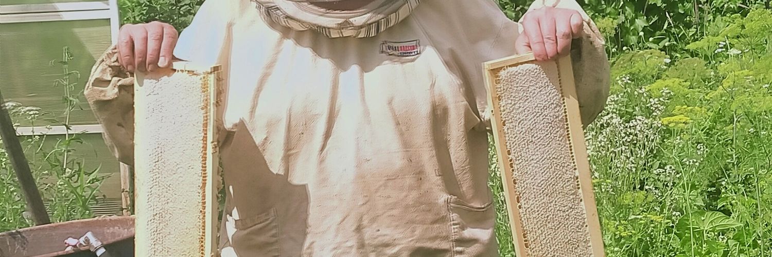 shulbert327's profile banner image