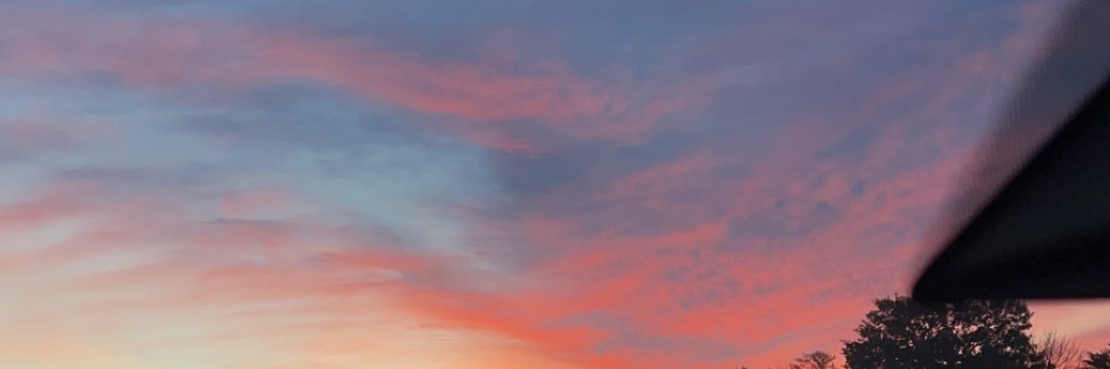 hailey_bess's profile banner image