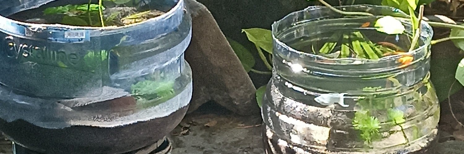 MirshaBrigitta's profile banner image