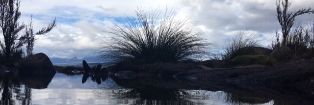LundmanJo's profile banner image