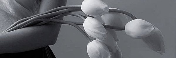 ClaudiaB7Paris Profile Banner
