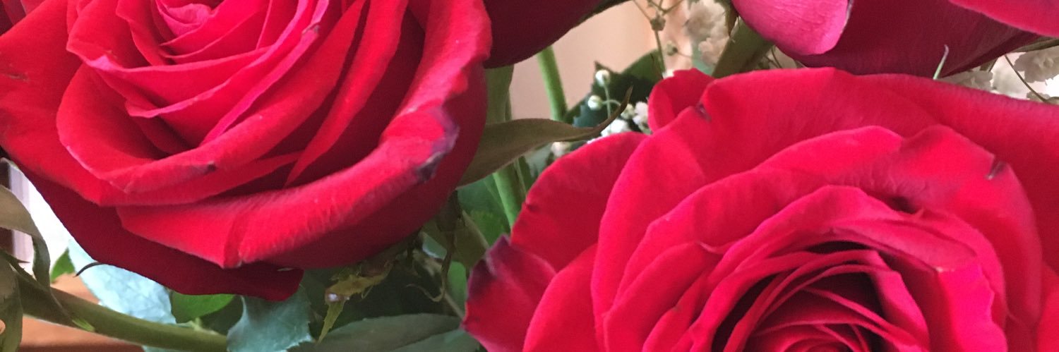 lesliem45945242's profile banner image