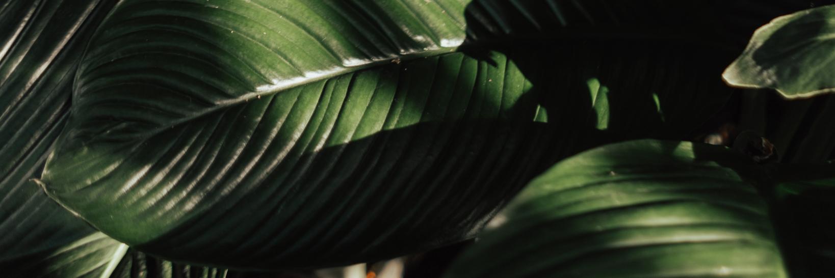 kenzthough's profile banner image