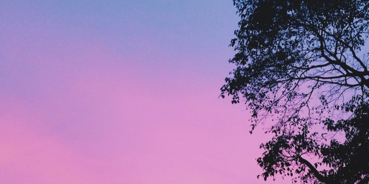 TiarraaProbo's profile banner image