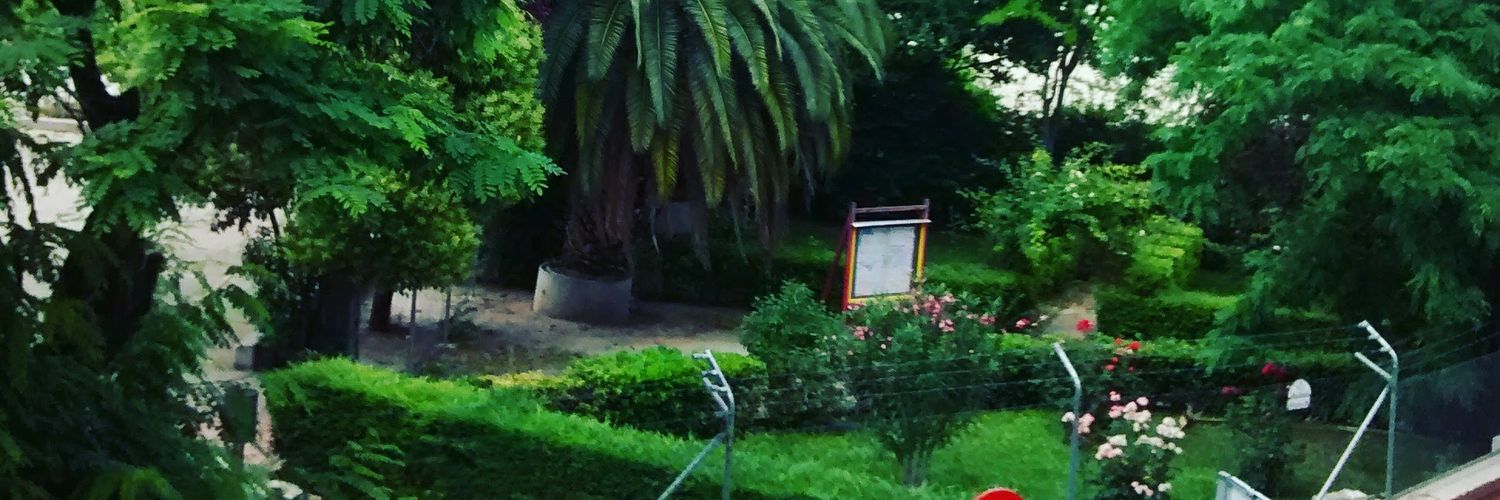 Emiliamarti's profile banner image