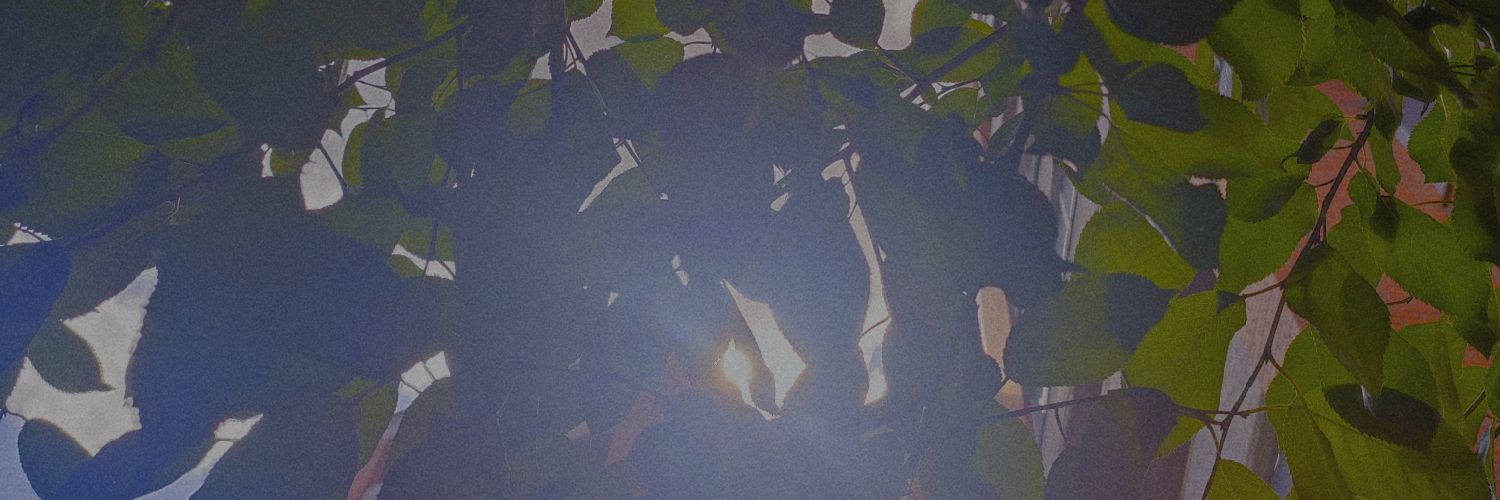 cute__monster__'s profile banner image