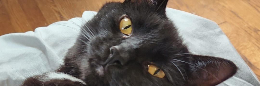 Cursed Person banner