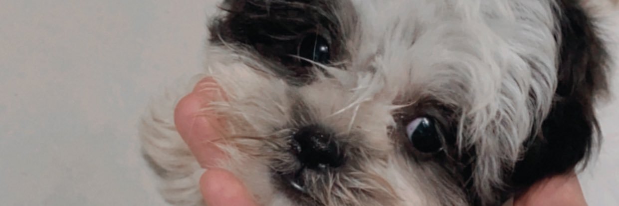 lorrensndc's profile banner image