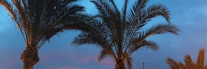 kekoa30's profile banner image