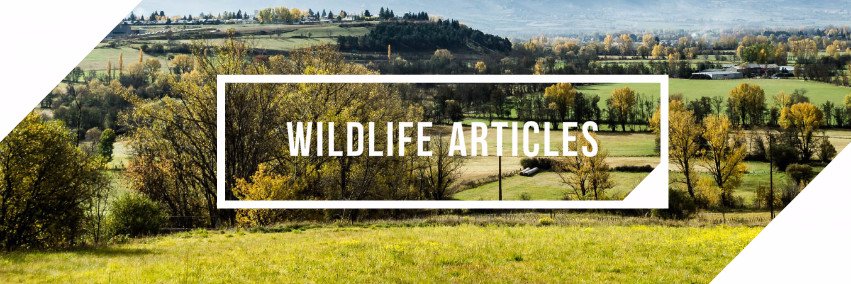 Wildlife Articles banner