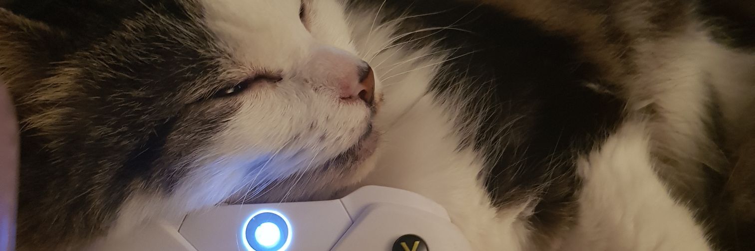 Leebee2202's profile banner image