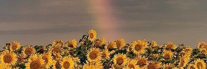 Lookked2's profile banner image
