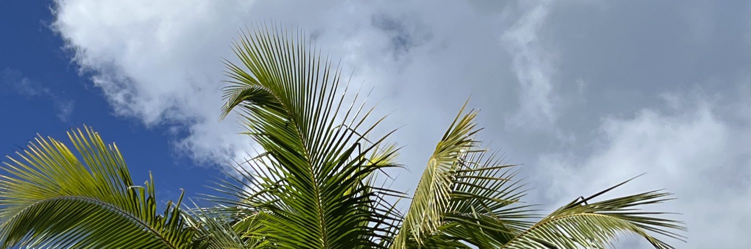 miriam_abot's profile banner image