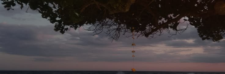 jameskull5's profile banner image