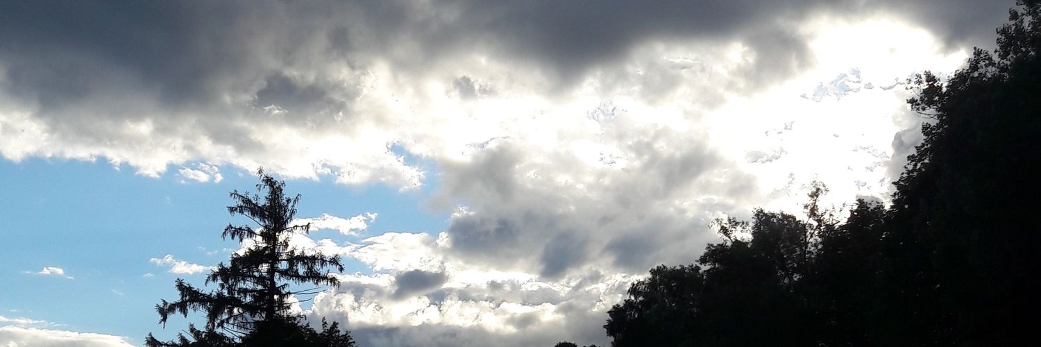 LsdStells's profile banner image