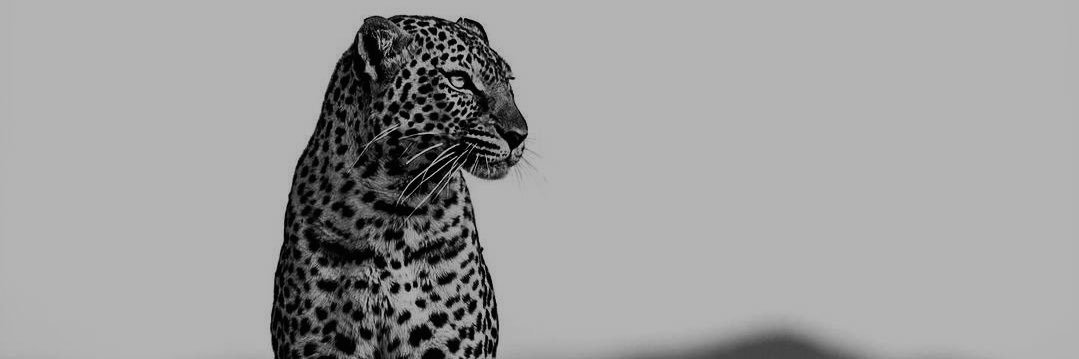 x66ij's profile banner image