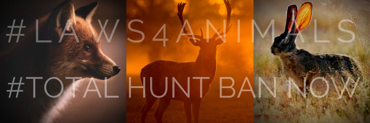 🌹#LAWS4Animals 🐾🦁🦊🐘🦛🦒🐒🌿🌳 banner