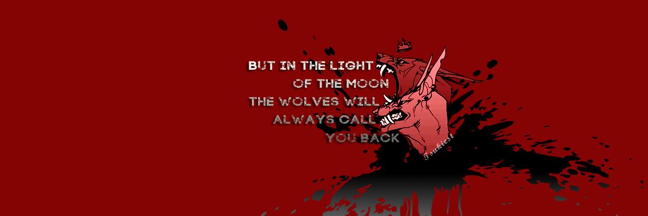 Tsukiest's profile banner image