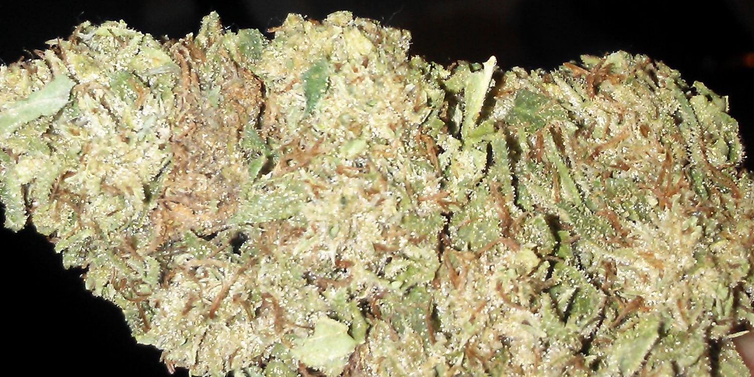 gingerbread710's profile banner image