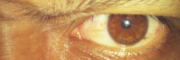 jaqvad Profile Banner