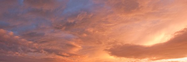 coenand Profile Banner