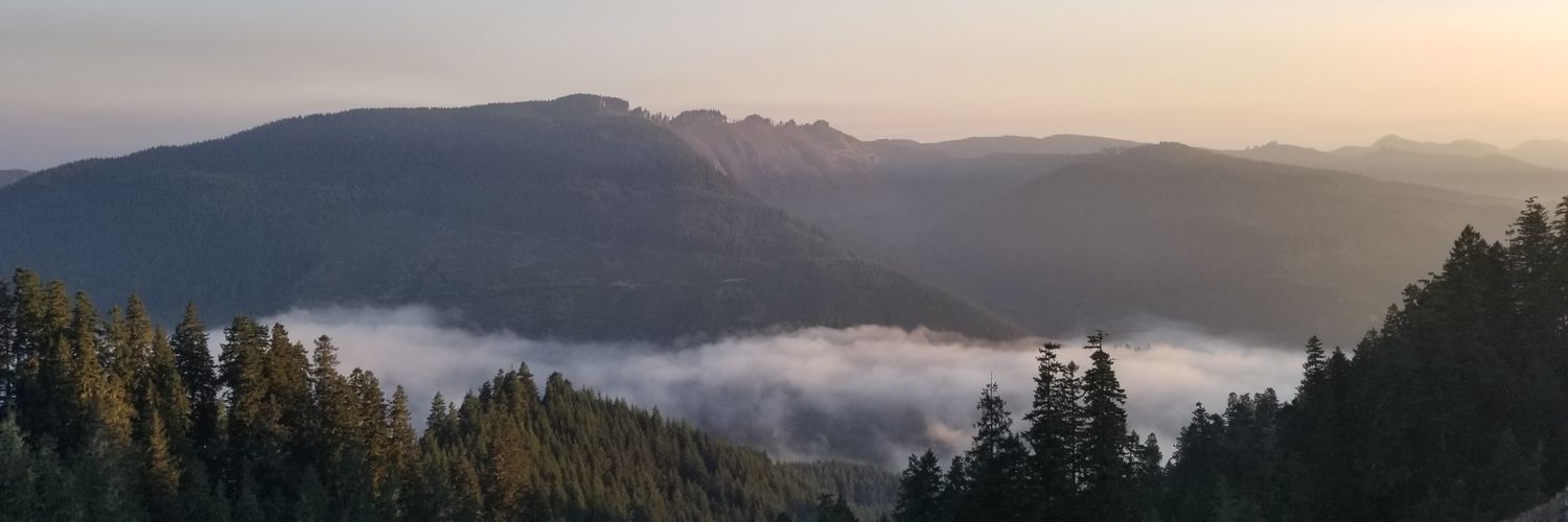 AsianPenguin24's profile banner image