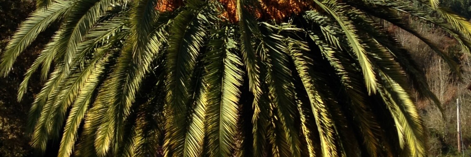 Jpg285's profile banner image