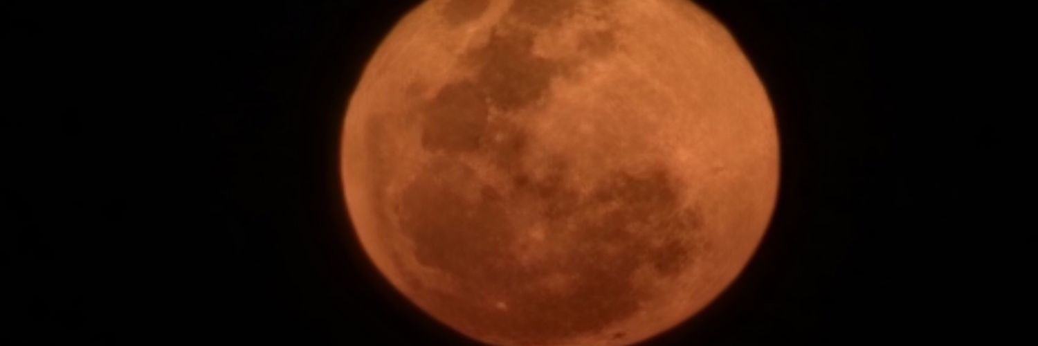 therealnbtf's profile banner image