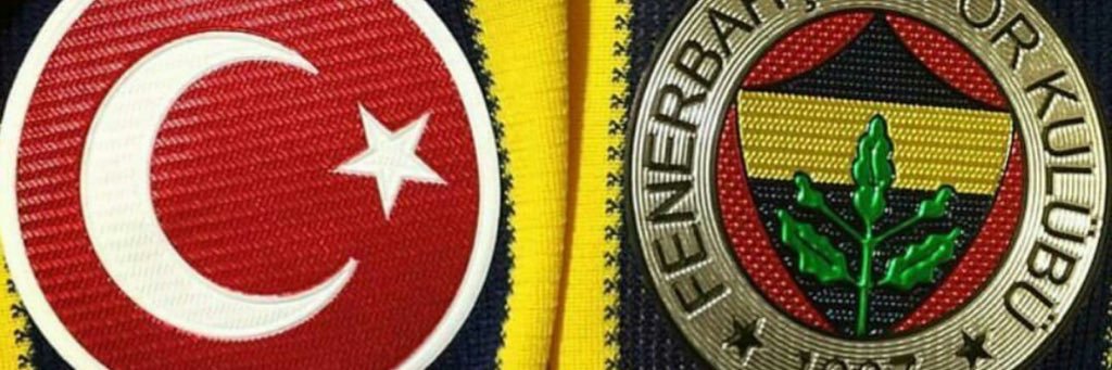 cise_tanyildizi's profile banner image