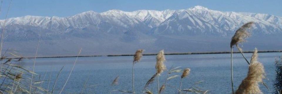 MunguuBMB's profile banner image
