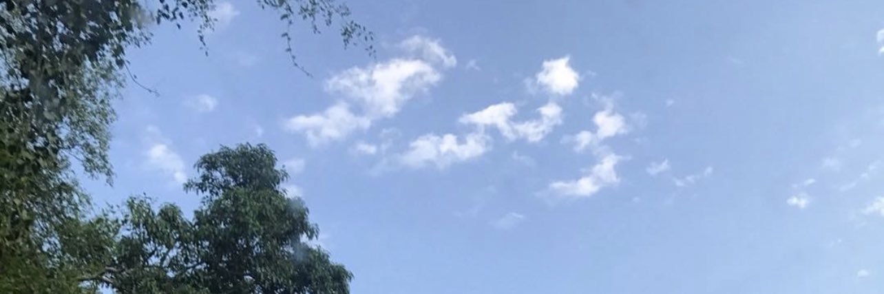 foofo7964's profile banner image