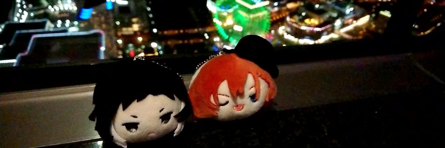 iroriaroha0's profile banner image