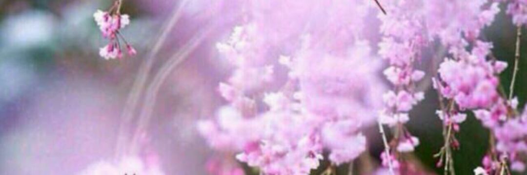 luxury_1986's profile banner image