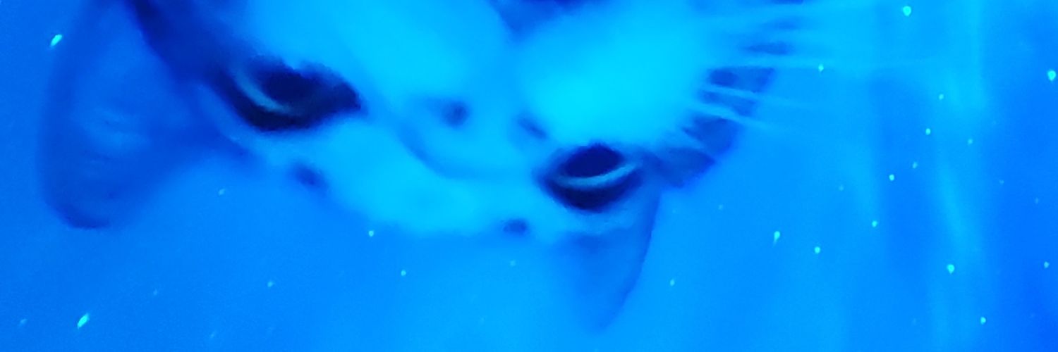 sweet36_6's profile banner image