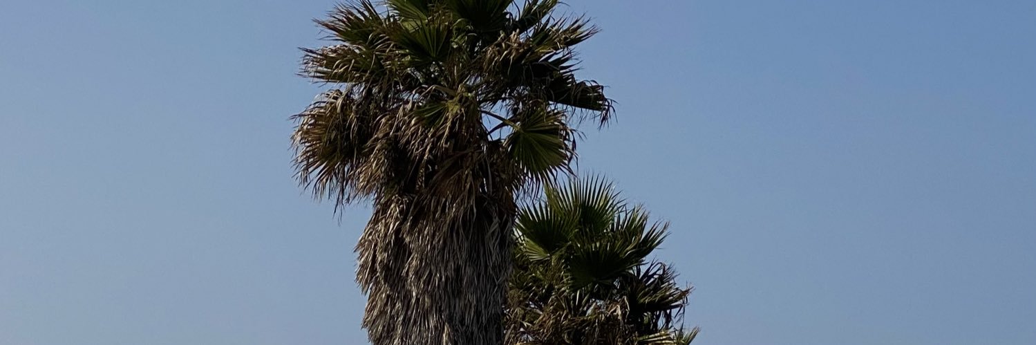 novaes325's profile banner image